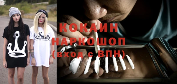 прущие грибы Алексин