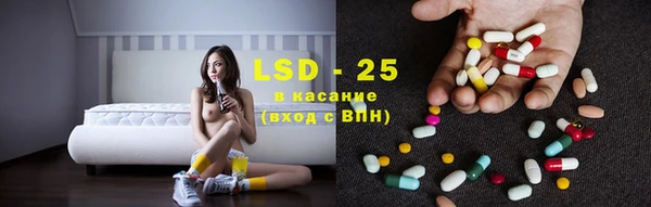 прущие грибы Алексин