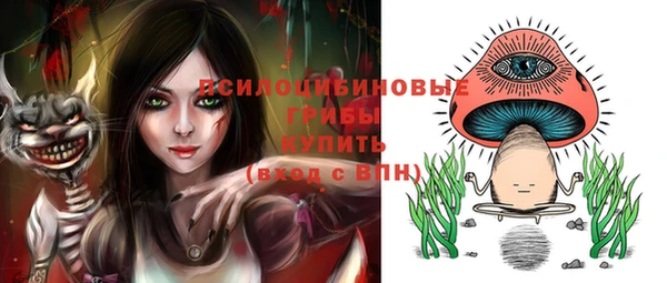 прущие грибы Алексин